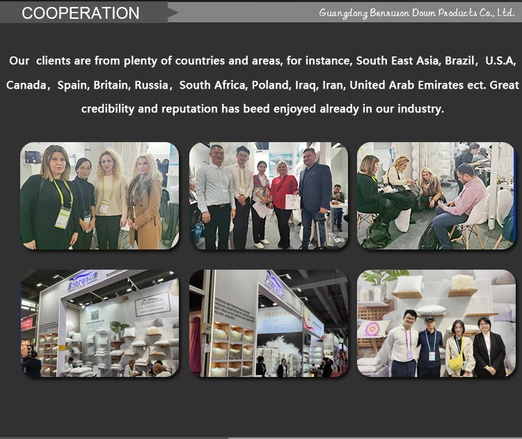 European standard washed 800 fill power white grey goose down feathers for sale