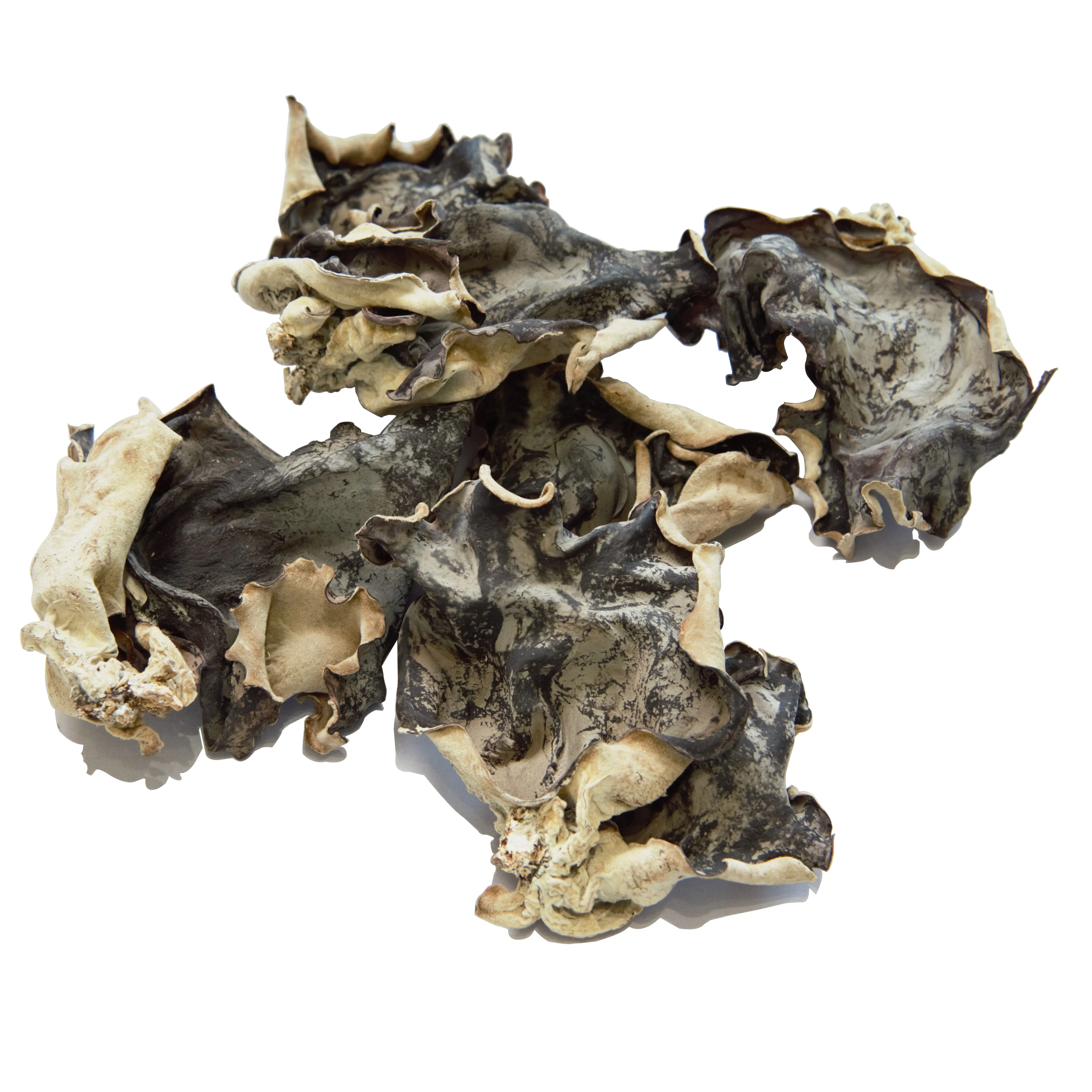 
Wholesale Dried White Back Black Fungus 