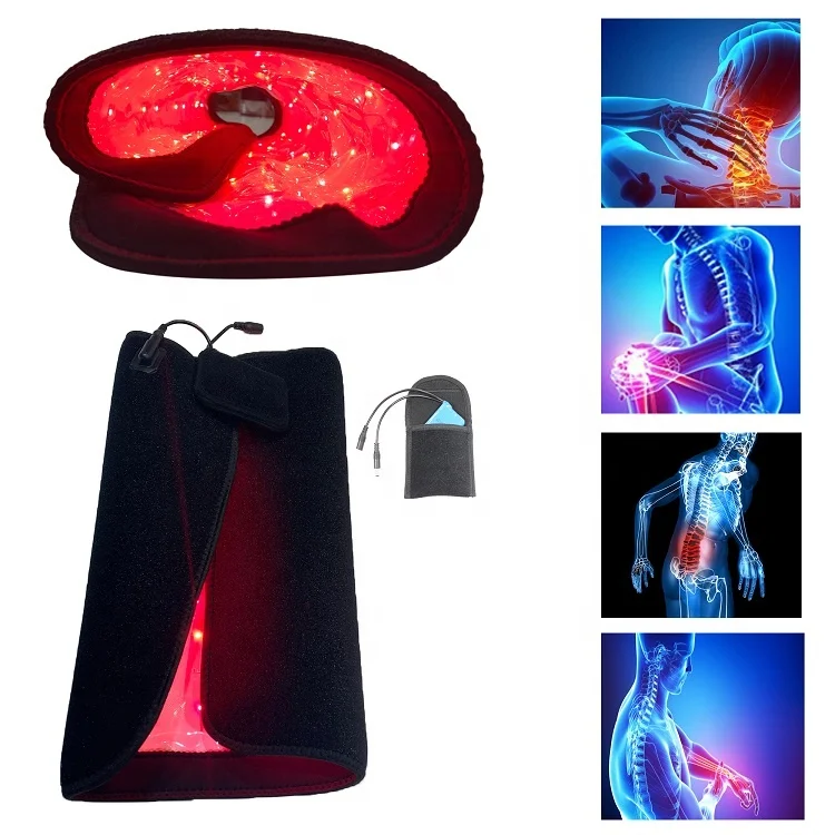 Sphynx cat hairless Sphynx cat Canada Bald cat pet supplies led lamp