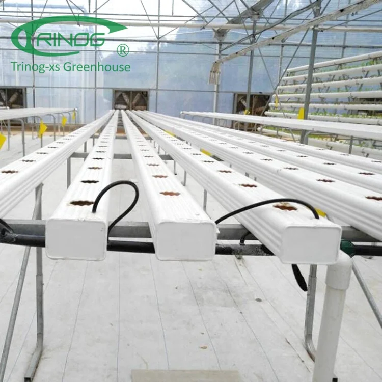 Trinog greenhouse Agricultural Commercial NFT lettuce cultivation Hydroponics System for Film Green House