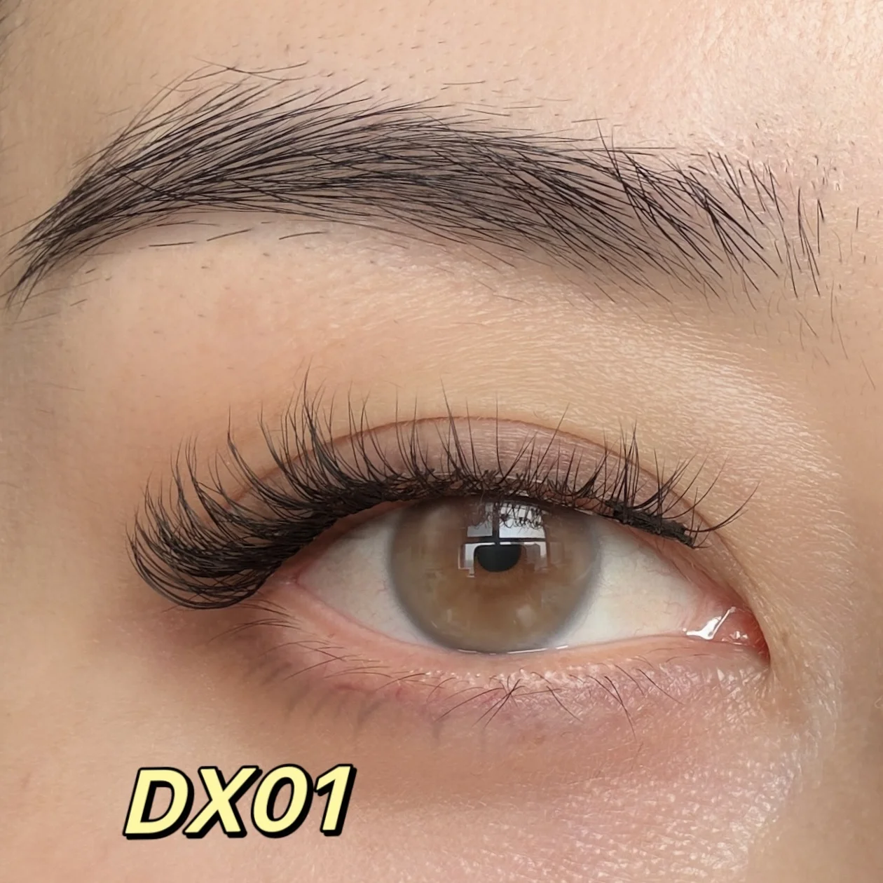 2023 Sunland  New Products  handmade no glue needed No Eyeliner False Eyelashes Soft Magnets Quantum Magnetic Lashes set