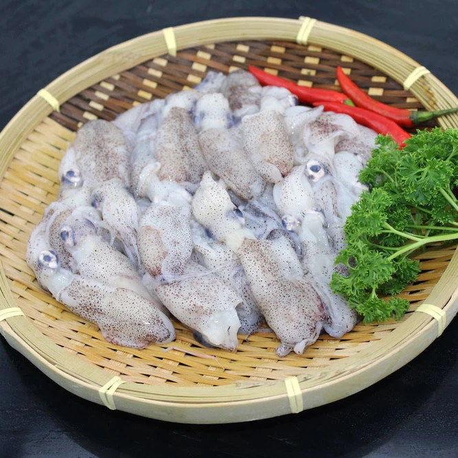 
seafood Frozen squid 5-7cm loligo Whole Round baby squid 