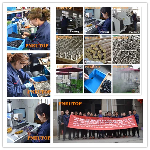 Pneumatic parts Viton o-ring SS316 Stainless Steel fitting Push in Fittings Round Male Straight Connectors Quick Hose Coupler