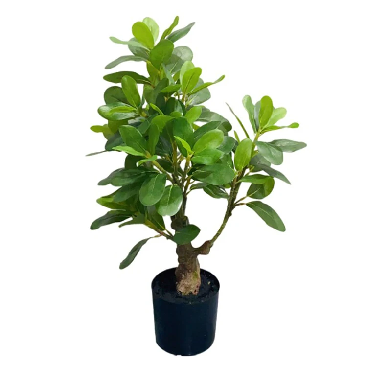 Cheap Factory Wholesaler Fake Green Seatung Pittosporum Tobira Artificial Plant Trees Shopping Mall Hotel Decorative Tree