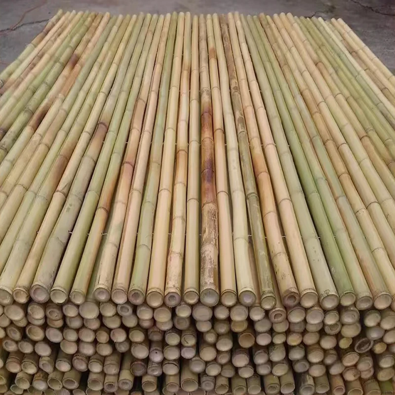 China Manufacturer Healthy Bamboo Seeds Natural Color Bamboo Cane
