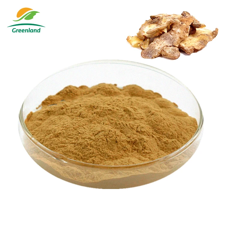 Chinese Traditional Herb Medicine Polygonatum Sibiricum Oyster Extract Powder