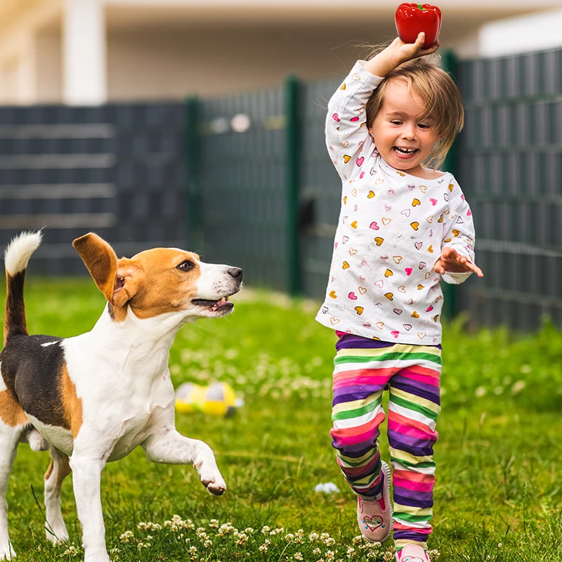 Thinkpet 24 Years Professional Manufacturer Squeaky Vinyl  Pepper & Chili Vinyl Dog Toys for Pets