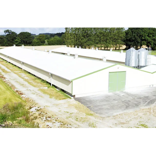 China Low Cost light metal prefab chicken farm shed building steel structure chicken house with automatic chicken Equipment