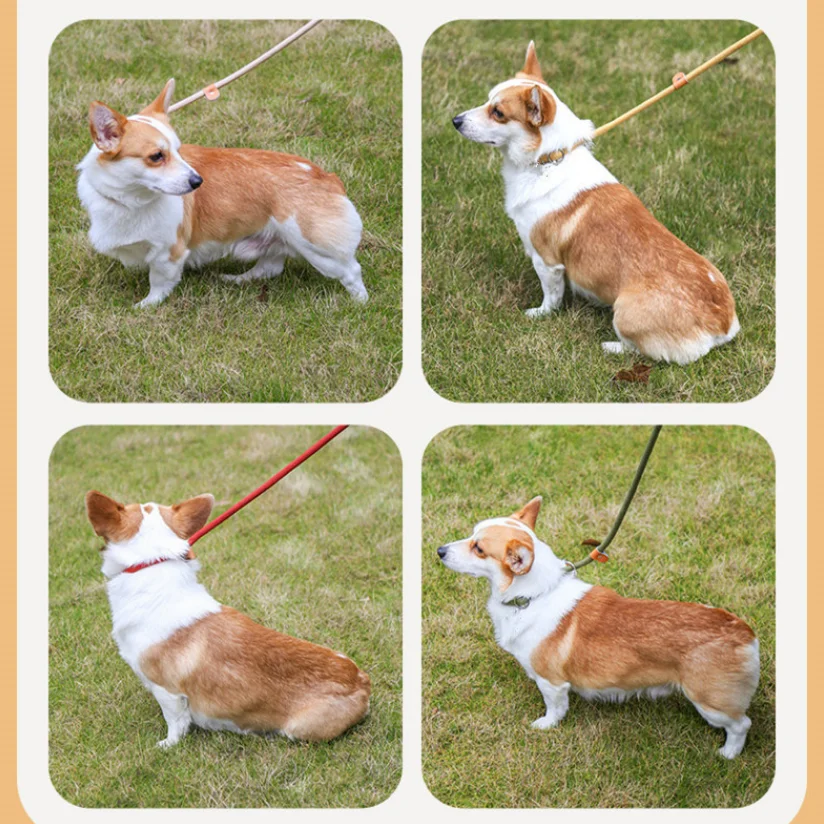 Riot-proof p-chain traction nylon stitched leather pet dog paracord training hands free dog leash