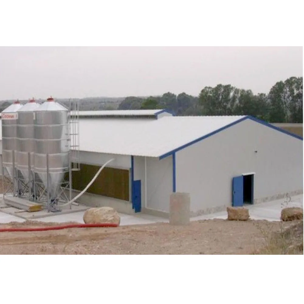 Large Scale Light Steel Frame Poultry Barn Broiler / Breeding Chicken Farm