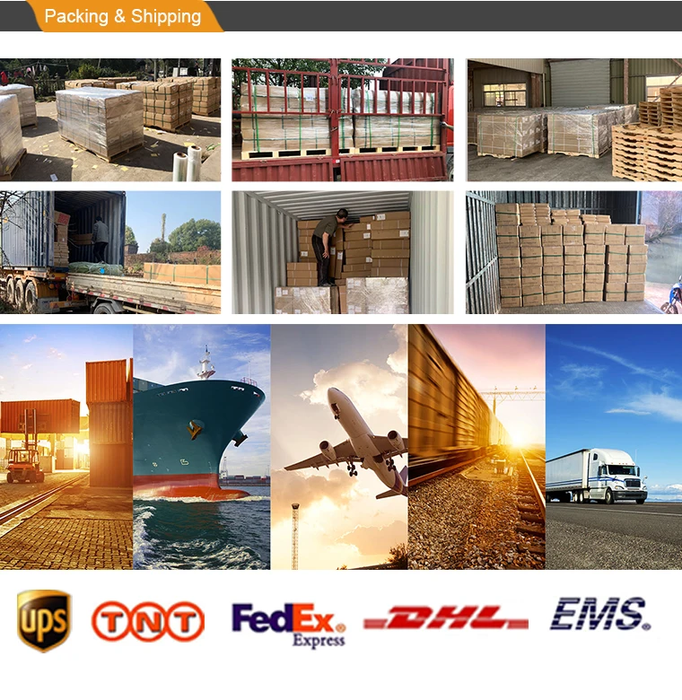 Wooden Dummy For Martial Art