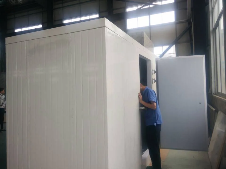 Refrigerator Freezer Storage Room cold storage