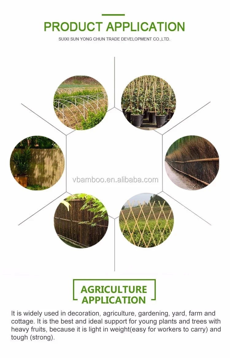 flower sticks 007.jpg