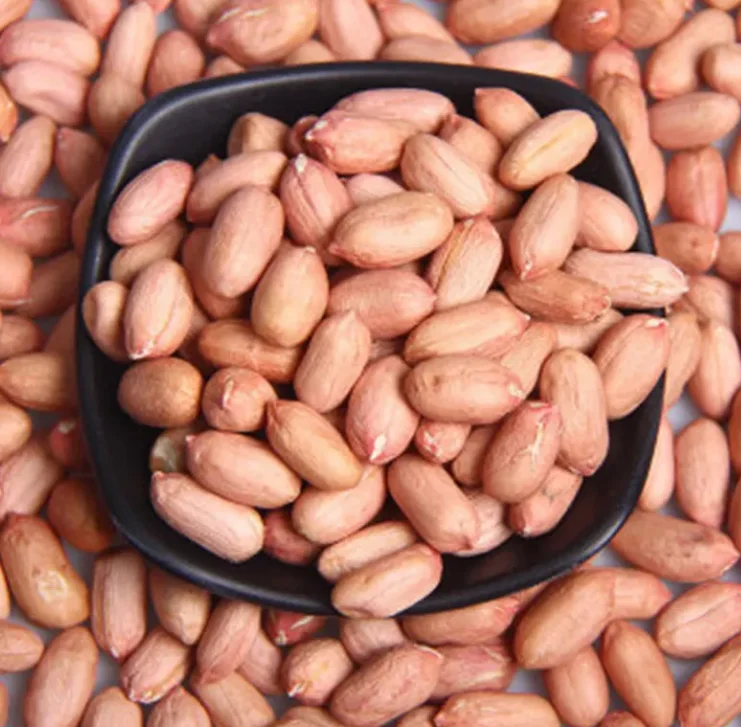 Wholesale Bulk raw pure sun dried peanuts prices high quality large and plump raw peanuts for sale