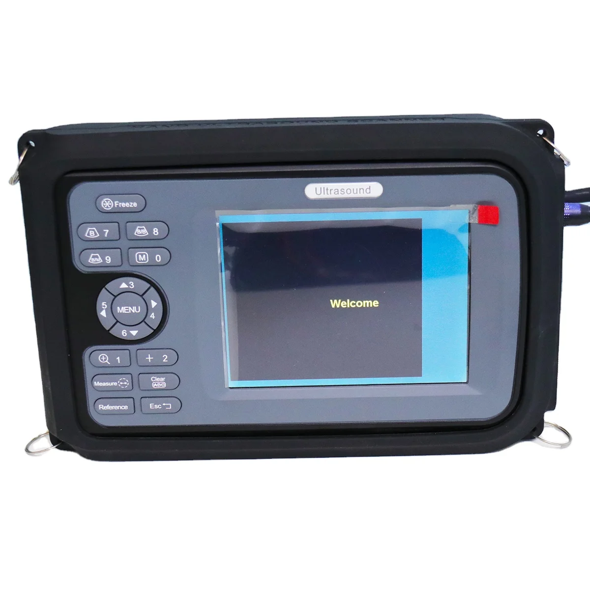 Medical Full Digital Laptop Veterinary Ultrasound Scanner A Sheep Horse Pig Farm Rectal Ultrasound