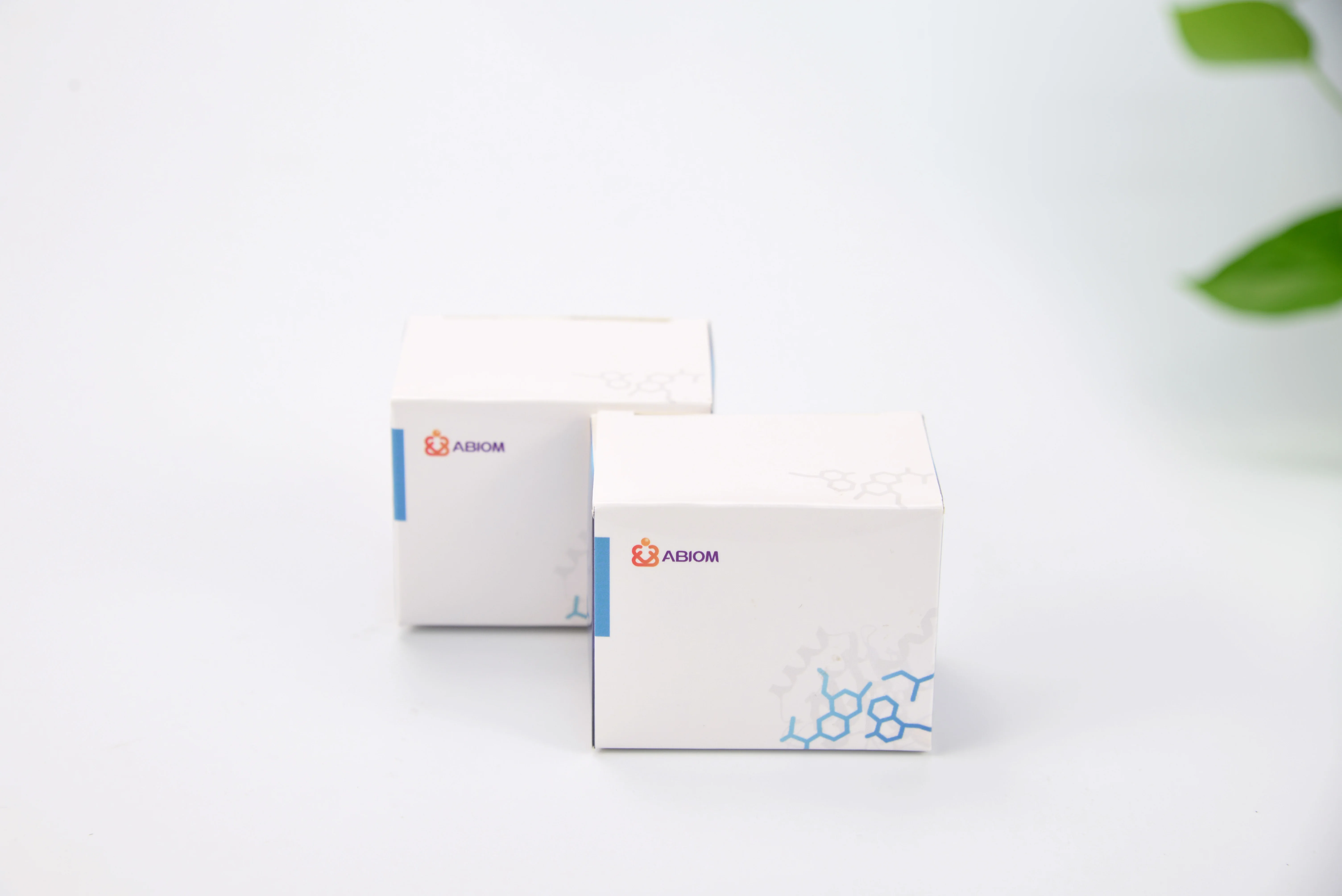 Murine RNase Inhibitor