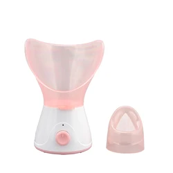Amazon Hot Selling Spa Quality Warm Mist Humidifier Atomizer Professional Ionic Nano Face Steamer for Facial