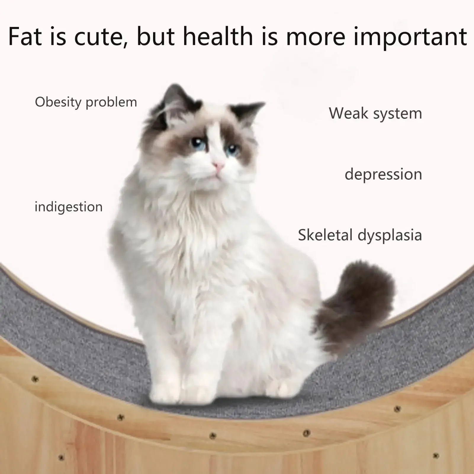 Interactive Anti-depression Fiber Board Wooden Cat Exercise Running Wheels Fun Treadmill Pet Toys Cat Wheel