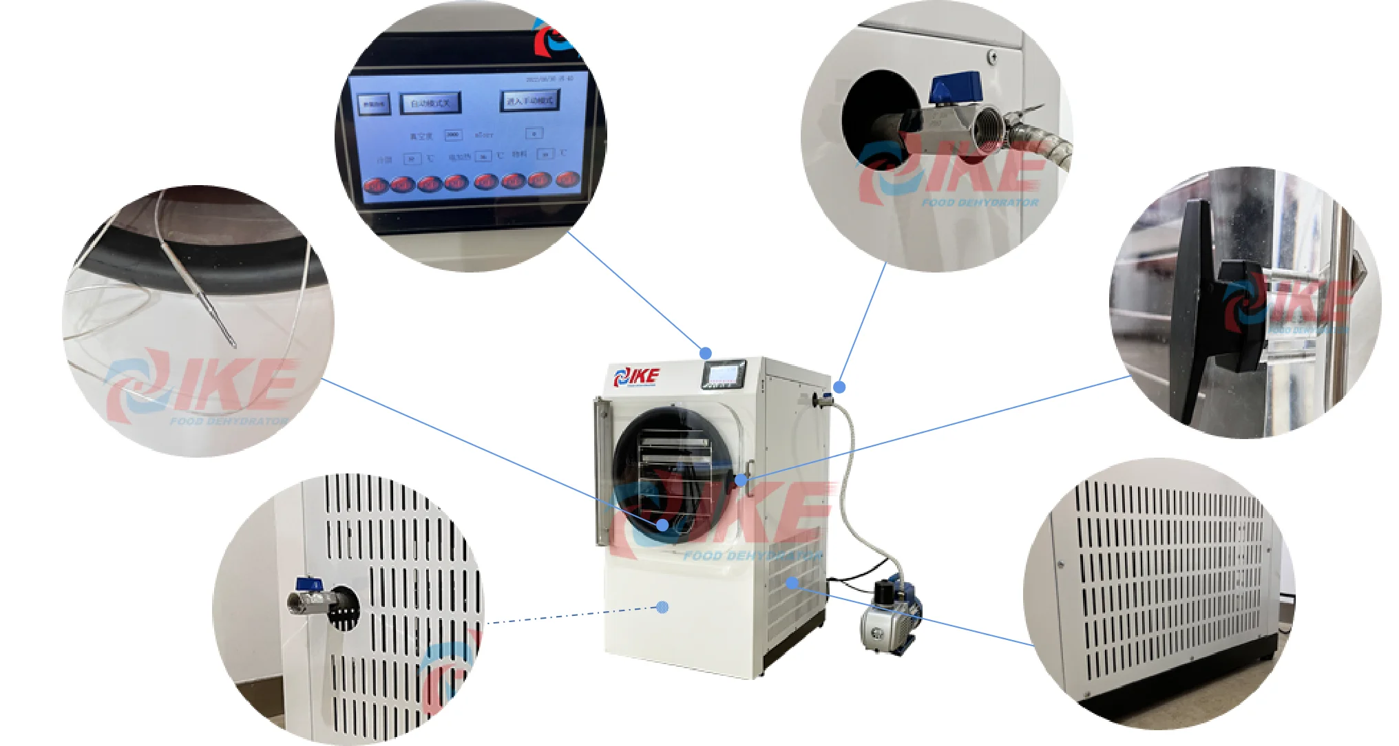 Home Use Freeze Drying fruits and vegetables Food Dehydrator  Vacuum Freeze Dryer Machine