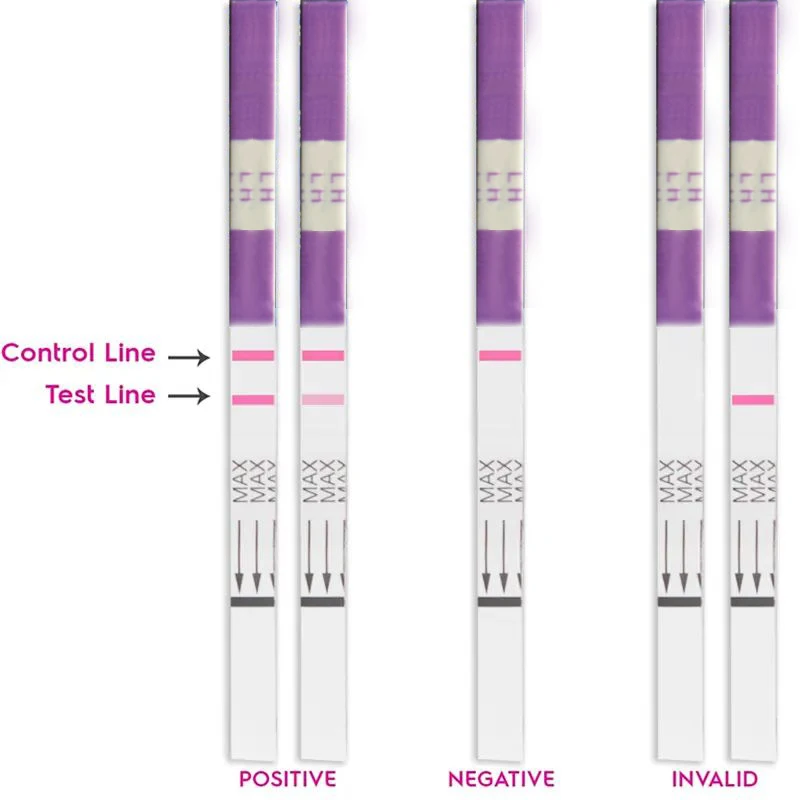 Полоски для овуляции, тест на овуляцию