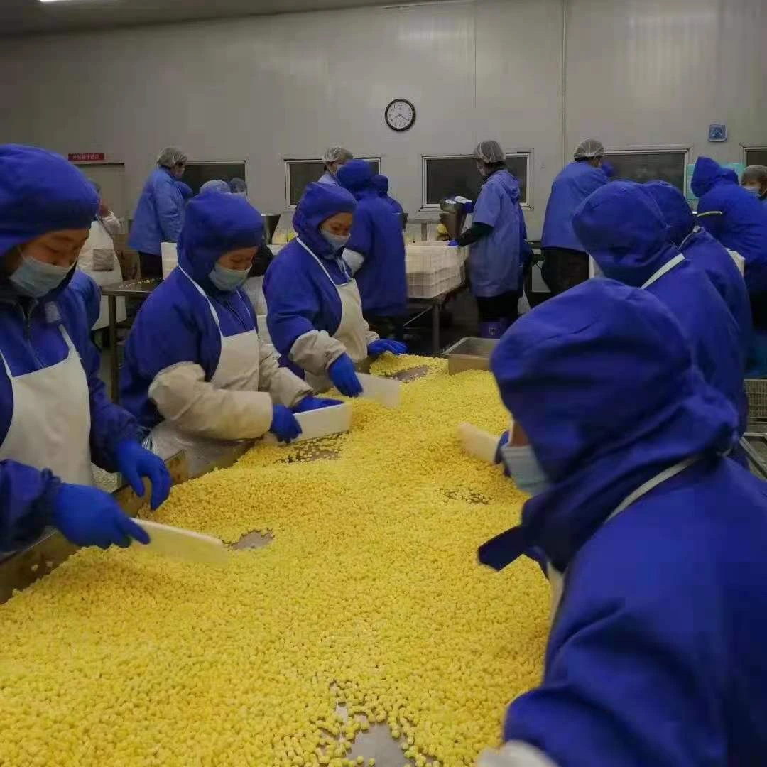 Cob Cob Cut Cooking China Sweet Corn Cob Cheap Price IQF Frozen Fresh Yellow Fruit Corn Kernels