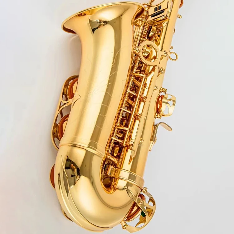 Saxophone Brass Material Alto Saxophone E-Flat Gold Keys Mouthpiece Music Instrument Alto Sax for Adult
