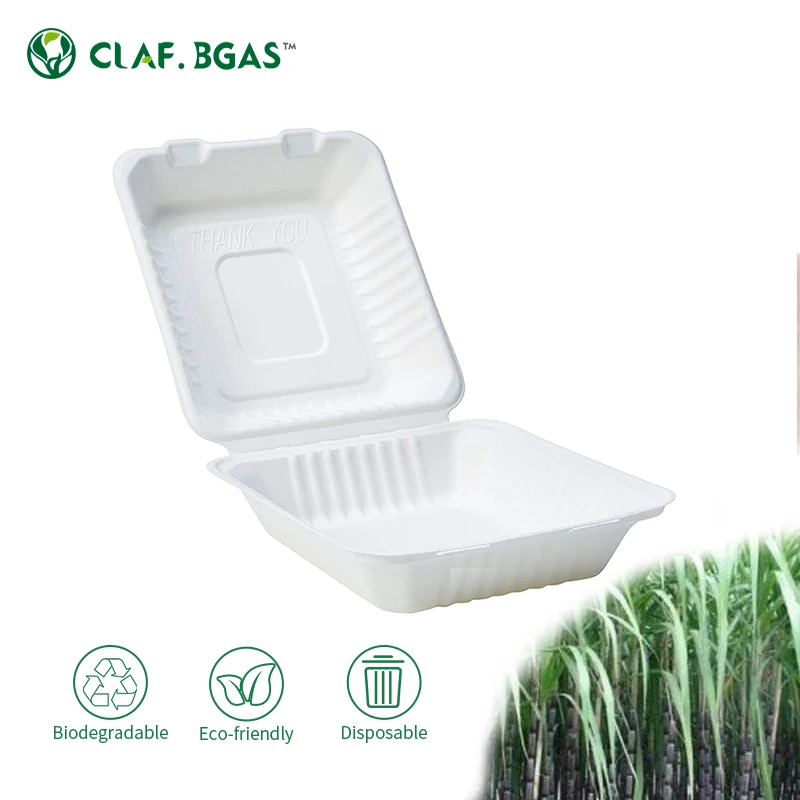 Eco-friendly Degradable Wholesale Compostable Take Away Sugarcane Biodegradable Bagasse Lunch Box Clamshell Container Camping Box with Lid