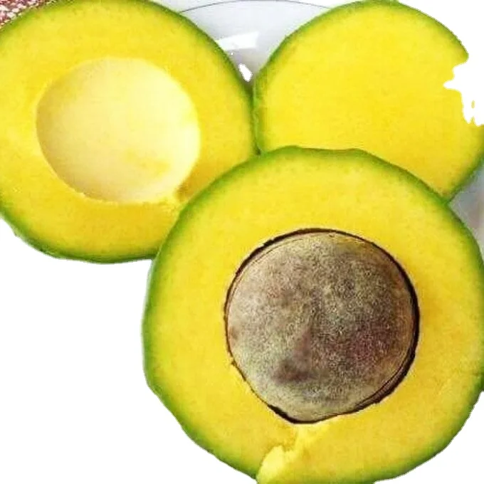 FROZEN AVOCADO FROM VIETNAM WITH HIGH QUALITY AND BEST PRICE