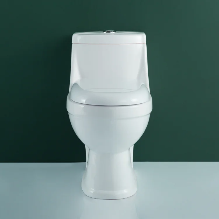 WDSI Ceramic Toilet  Bowi Men Toilet Toilet Seat Bidet