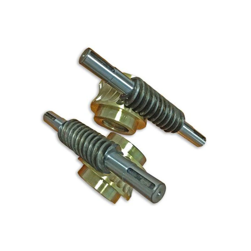  bronze spur worm gear