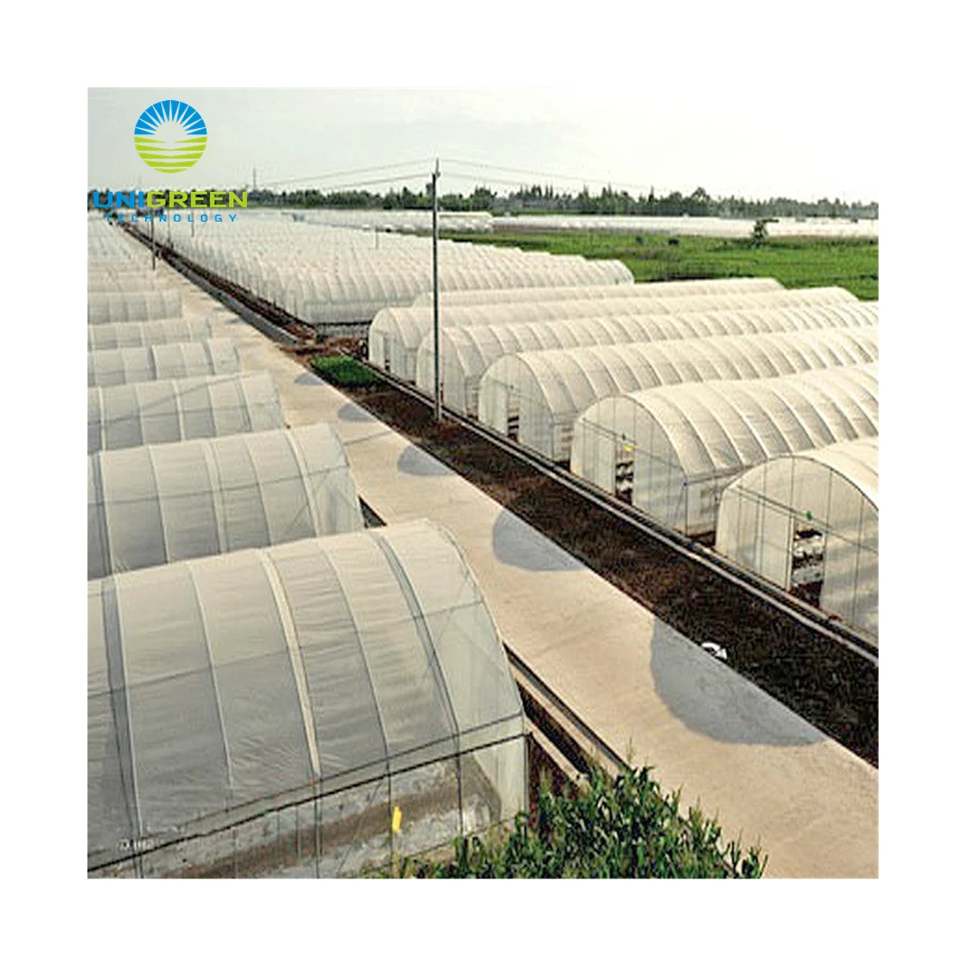  Factory Direct Selling New Type Multi-Span Flowers Vegetables Plant Aluminum Greenhouse Manufacturer