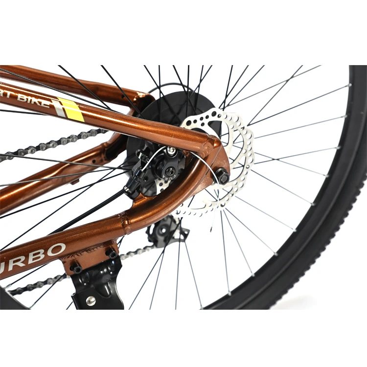 mtb bike10.jpg