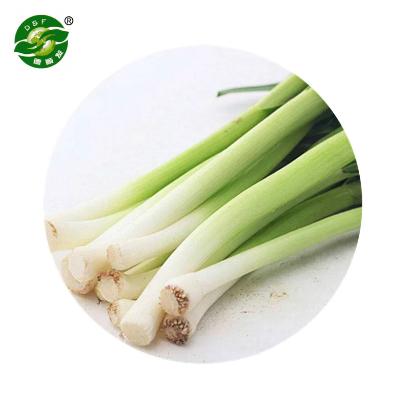 Wholesale Good Price Beat Quality  Delicious Frozen Green Spring Onion