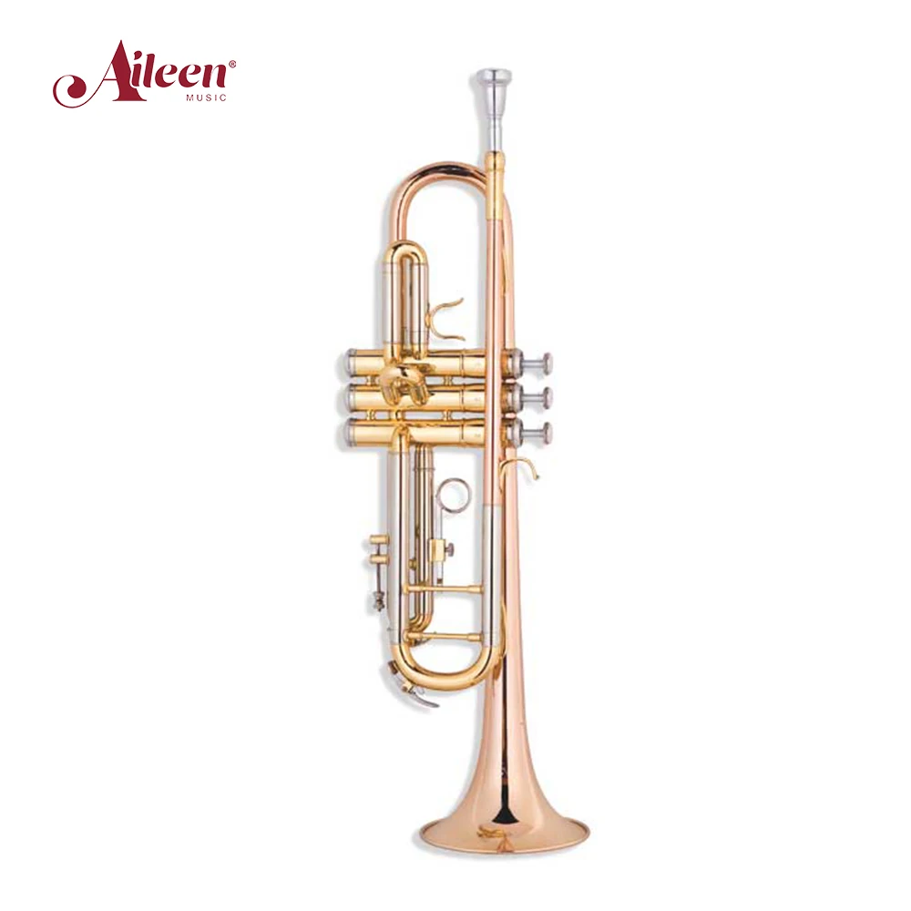 Middle Grade Trumpet Brasswind Instruments with Rose Brass Leadpipe & Bell(TP-M4300G-SRR)