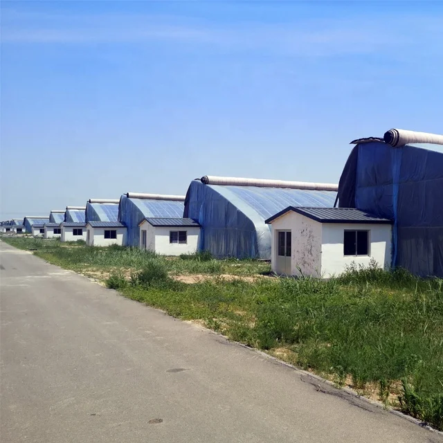 FM Cost-effective Agricultural Arch Greenhouse Vegetable Cultivation Green House Plastic Cover Material