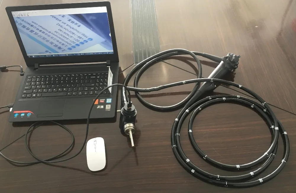 Flexible medical video endoscope Video Gastroscope And Colonoscope For Small Animals