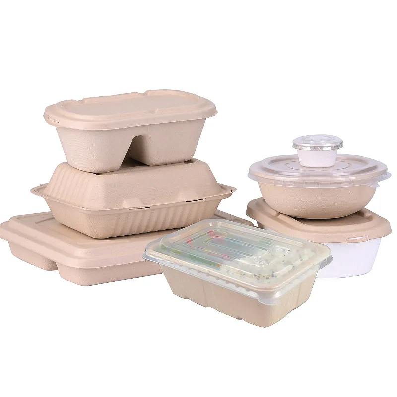 Biodegradable Sugarcane Fast Food Package disposable Degradable environmental protection salad bowl with lid