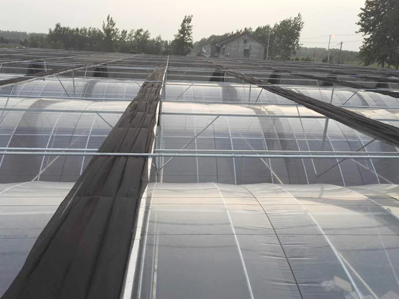 
Tomato and cucumber growing greenhouses-------Film greenhouse with hydroponic system 