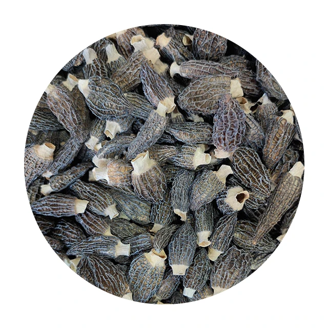 Сушеные черные морели от китайского поставщика 2-3 дюйма 6 -8