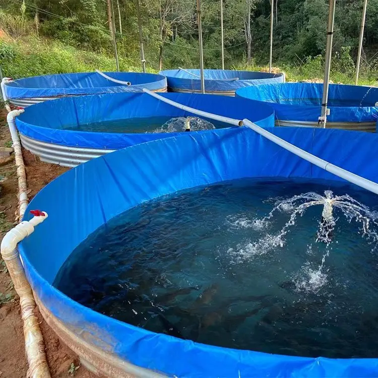 Tilapia fish pond Canvas fishpond for tilapia fish feeding farming