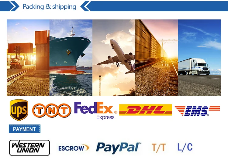 Forest landscape oil painting