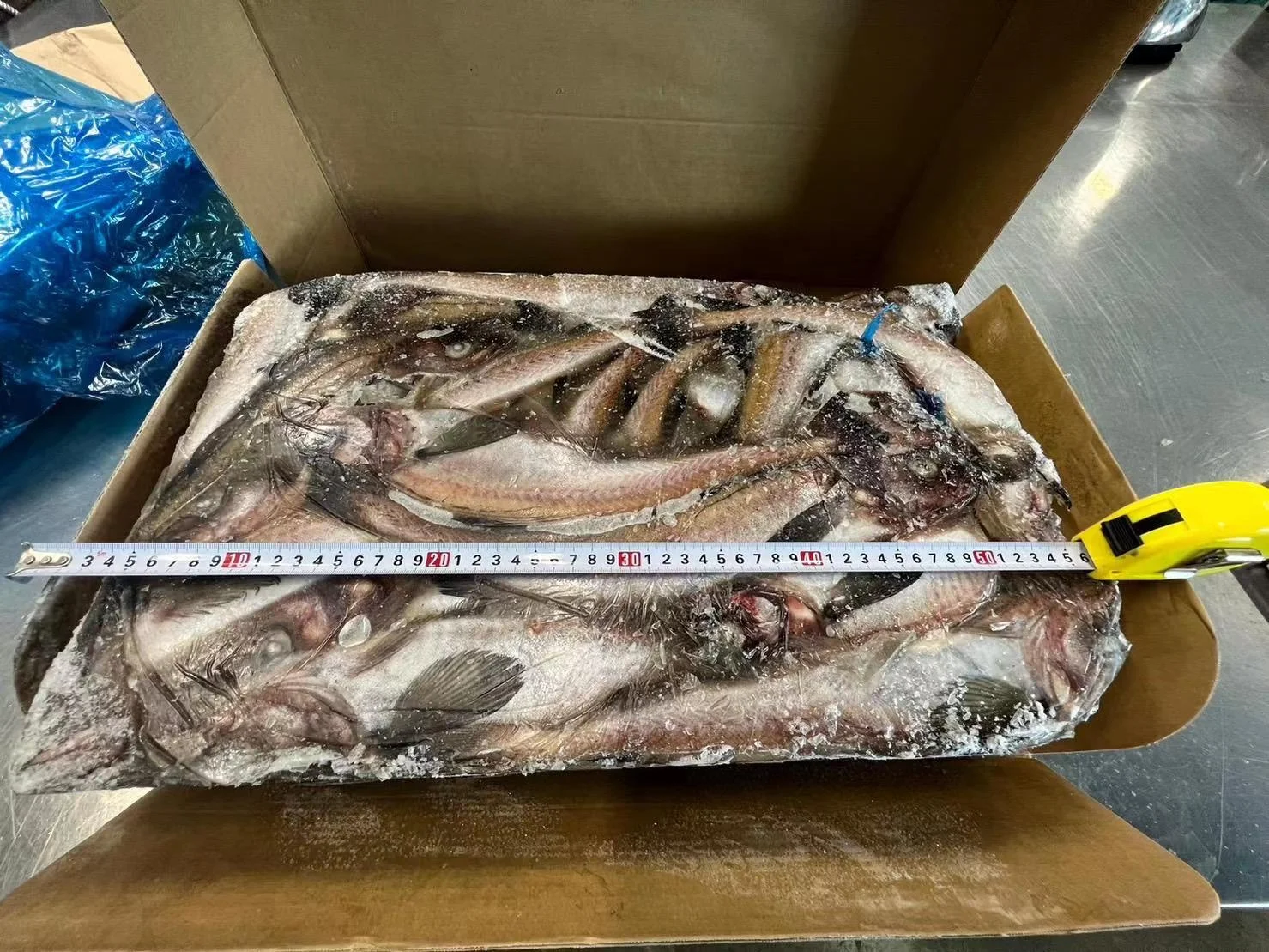 High Quality Japan Origin 300-500g Alaska Frozen Pollock Fish