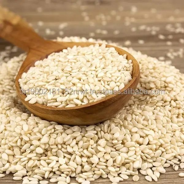 
White Sesame Seeds Sudan Origin Oil Seeds Agricultural Products Plant Seeds Grain Exporter 