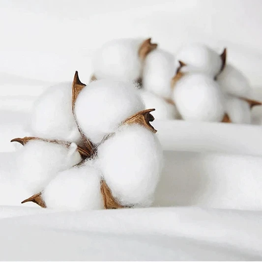 Que home hotel feather filling pillow insert top seller wholesale OEM/ODM luxury goose duck  down pillow cushion neck pillow