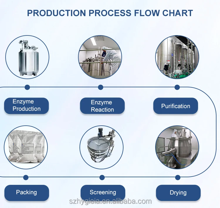 Food Grade with Top Quality and High Purity CAS 28319-77-9 Purity 90% 50% Alpha GPC