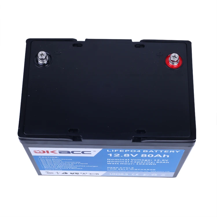 Professional Manufacturing Rechargeable Lithium Ion Car Battery 12V