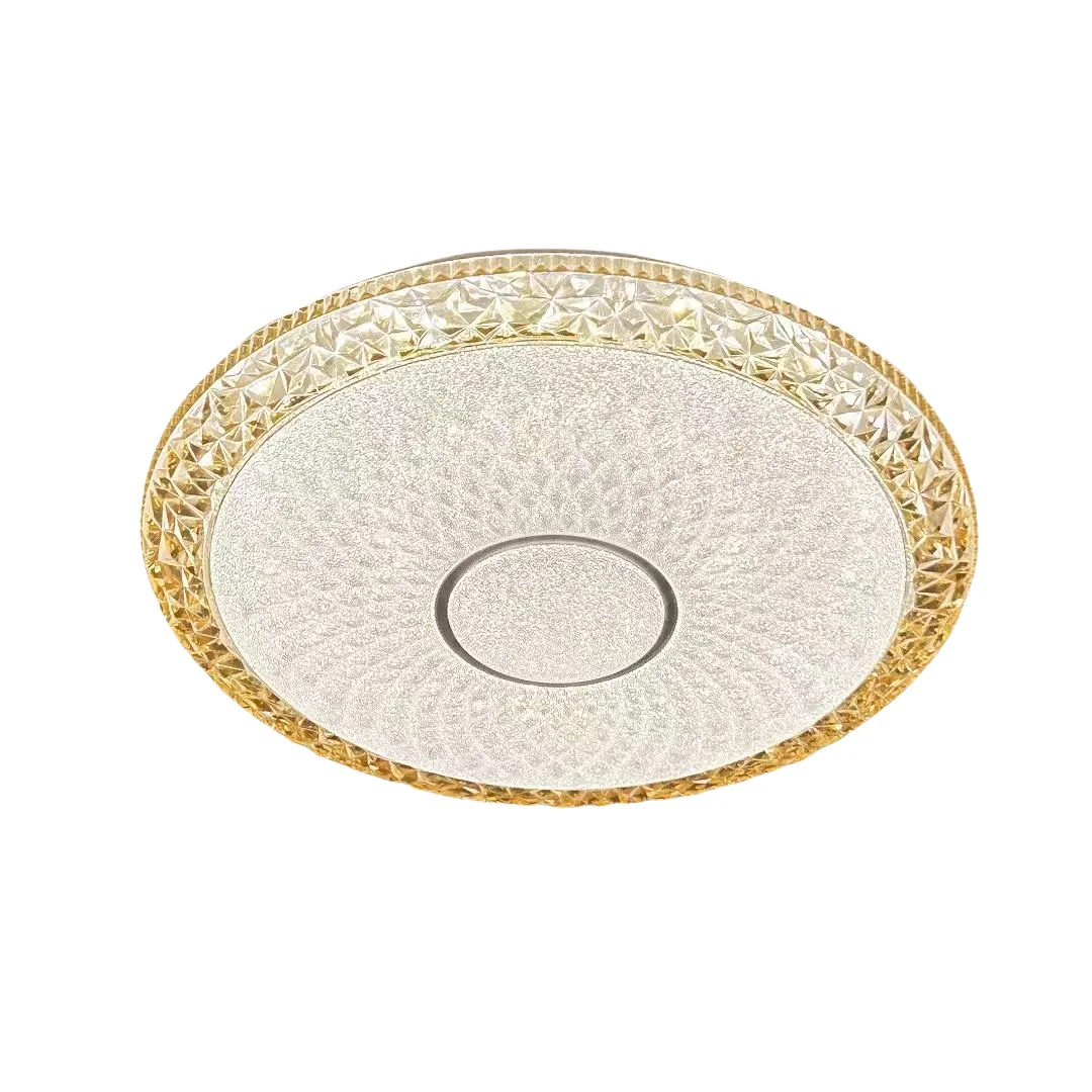 Wholesale Price  Led Ceiling Light  Round Ceiling Mounted Lamp For Home Decoration
