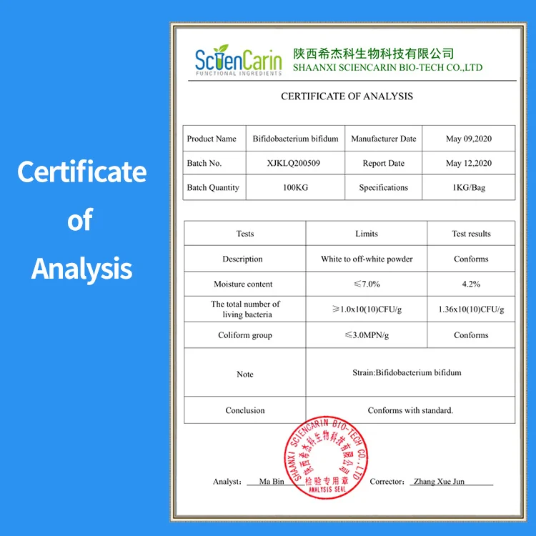 Top Purity Probiotics Powder Bifidobacterium bifidum