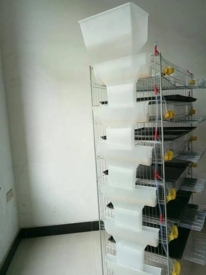 animal & poultry husbandry equipment quail layer cage HJ-QC400A 6 Tiers H type quail cages for egg production