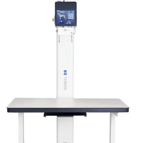 Hot Sale DMXR15 Animal Digital X-ray Radiography System with 17*17 Amorphous Silicon Cesium Iodide Flat Panel Detector